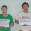 谅山省：组织外国人非法入境的2名犯罪嫌疑人被抓