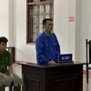 越南贩运10块海洛因砖的被告人获死刑