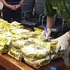 越南成功侦破一起特大跨国贩运毒品案