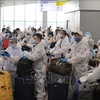 新冠肺炎疫情：在俄罗斯的逾340名越南公民安全回国