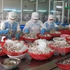 12家越南企业重新获批向沙特阿拉伯出口海产品