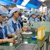 世行：大多数经济及金融指数证明越南经济的复苏能力