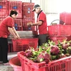 越南-中国（上海）水果制品线上会议吸引双方约40家企业参加