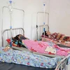  基孔肯雅热疫情在柬埔寨大范围爆发