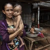 UNDP：新冠肺炎大流行可能使柬埔寨贫困发生率和失业率翻一番
