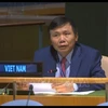 越南出席不结盟运动部长级会议