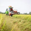 越南后江省将实现农业可持续发展与应对气候变化相结合