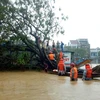 承天顺化省暴雨引发洪水致6人死亡、3人失踪