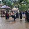 越南祖国阵线中央委员会致电慰问遭受洪灾的中部和西原各省市