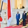 印尼与日本一致同意加强多个领域的合作 