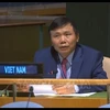 越南承诺为加强国家和国际层面的法治作出贡献