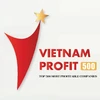 越南利润最高企业500强榜单22日将出炉