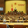 越南第十四届国会第十次会议新闻公报（第二号）