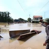 韩国向越南提供30万美元救灾援助