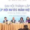 越南鱼露协会正式亮相