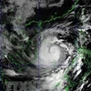 第9号台风加强至14级 阵风17级 台风中心位置位于岘港至富安海域