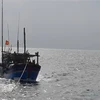 继续开展在海上失踪的平定省26名渔民的搜救工作