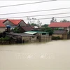 荷兰政府为越南中部开展灾后重建工作提供200万欧元援助