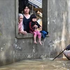 旅居乌克兰越南人捐助越南中部各省灾民