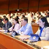 越南第十四届国会第十次会议新闻公报（第十五号）