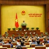  越南第十四届国会第十次会议：越南国会批准关于胡志明市采用城市政府组织形式的决议