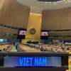 《联合国海洋法公约》第30次缔约国会议：越南强调所有争端问题必须通过和平方式解决
