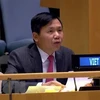 越南与联合国安理会：越南主持有关国际法庭工作组会议