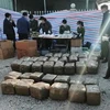 海防市发现装有超过570公斤重的疑似罂粟树脂的集装箱