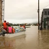 荷兰外交部向广南省受灾民众提供人道主义援助