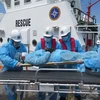 越南航海救援力量将一名外国船员送上岸接受治疗