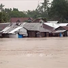 台风“杜鹃”登陆菲律宾 5000多人被迫疏散
