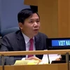 越南代表出席缅甸问题联大非正式会议并阐述越方立场