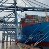 2021年前2月越南各港口进出国际船舶数量同比下降6%