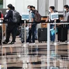 新加坡航空公司试行新冠筛查通行证 