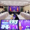 越老柬三国领导人举行视频会谈