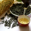 越南太原省将茶叶发展成为主要农产品