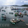 越南推进海洋资源高效利用 实现海洋经济可持续发展