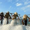 越南盐业公司首次公开募股