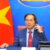 越南与文莱外交部长通电话