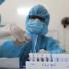 15日上午越南新增4例新冠肺炎确诊病例 第一期新冠疫苗接种人数达62028人