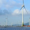 越南最大风力发电厂正式投入运营