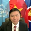 越南与联合国安理会：越南主持召开有关索马里的选举和安全进程的视频会议