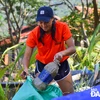 旅居岘港外国人携手整治环境卫生