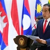 印尼与柬埔寨促进卫生、经济、投资和防务等领域的合作
