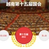 越通社越南第十五届国会和2021-2026年任期 各级人民议会选举信息专题网站正式上线