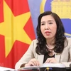 越南外交部发言人黎氏秋姮：越南呼吁各方尽快恢复中东和平进程