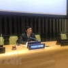 越南与联合国安理会：越南呼吁推动利比亚问题政治解决进程