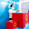 国会和人民议会换届选举：国会常务副主席陈青敏在芹苴市参加投票
