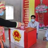 国会和人民议会换届选举：国际舆论高度评价越南国会换届选举组织工作
