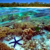 保护海洋 促进可持续生计